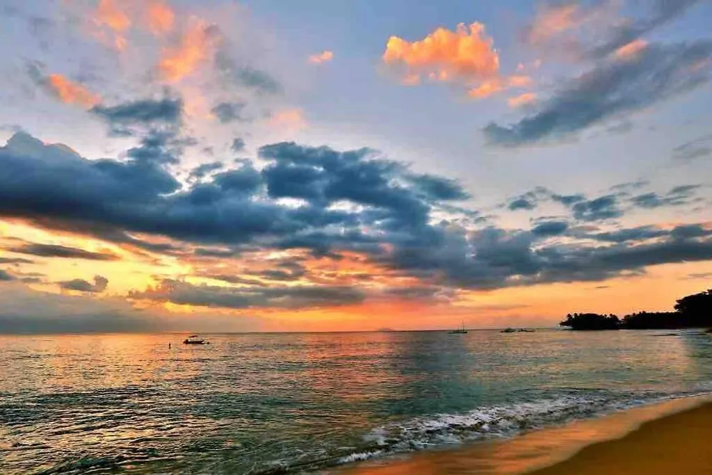 Cielo Y Mar Apartment By The Sea Peaceful Getaway Stella